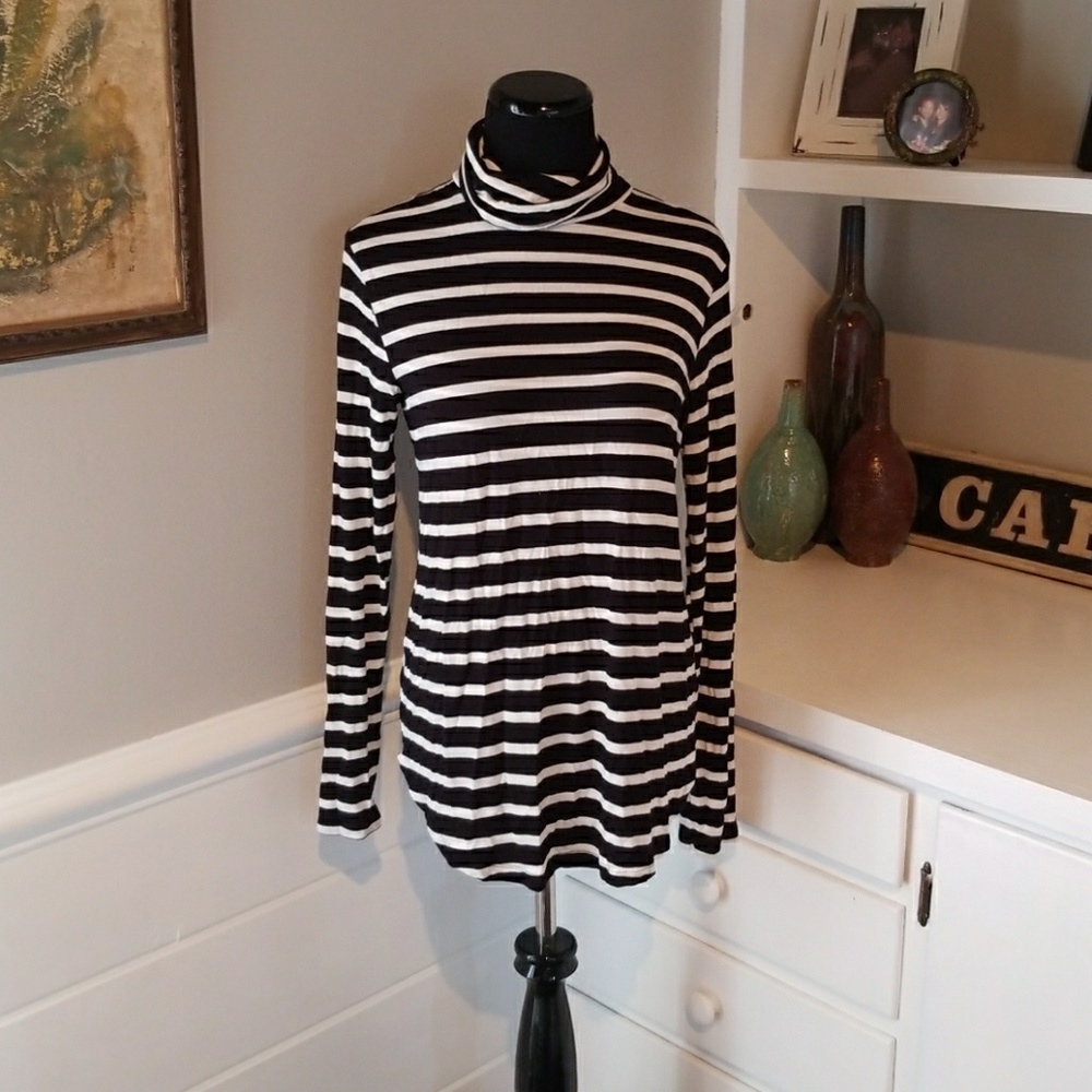 Knit striped turtleneck